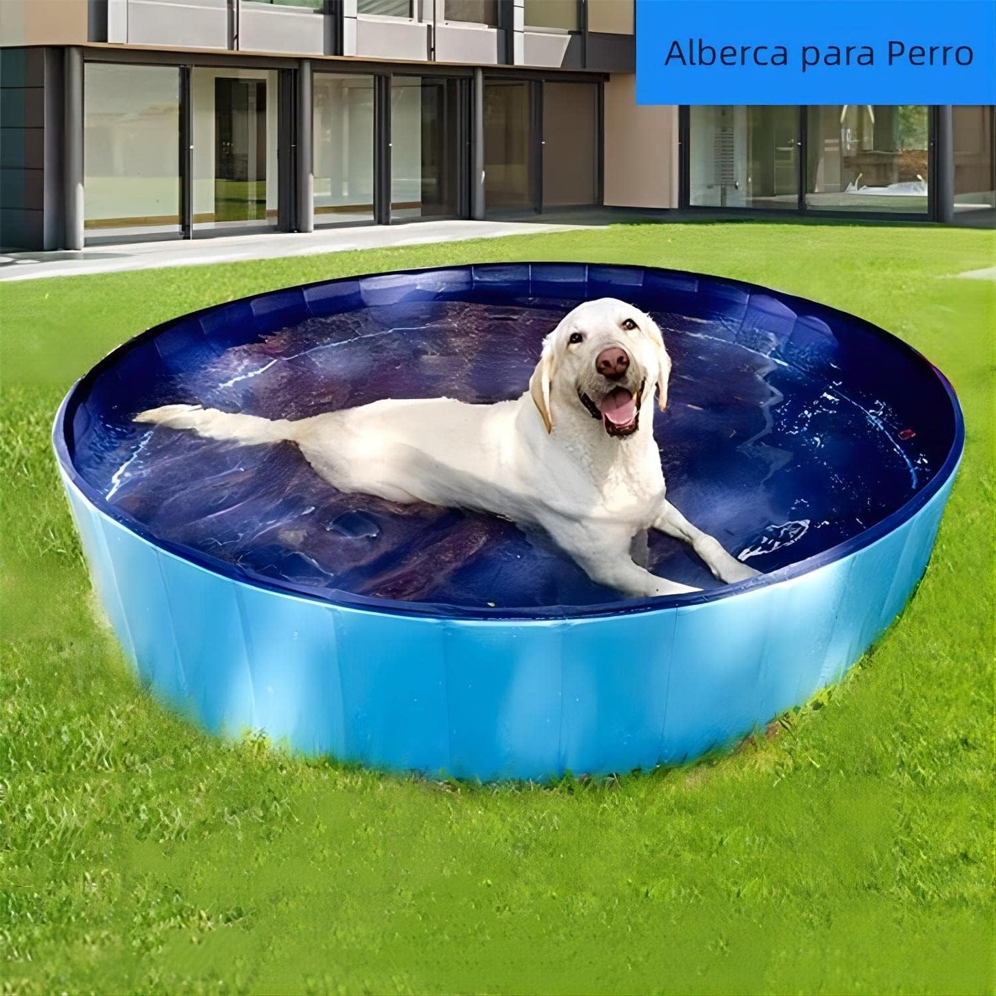 Piscina plegable para mascotas (Dos tamaños)