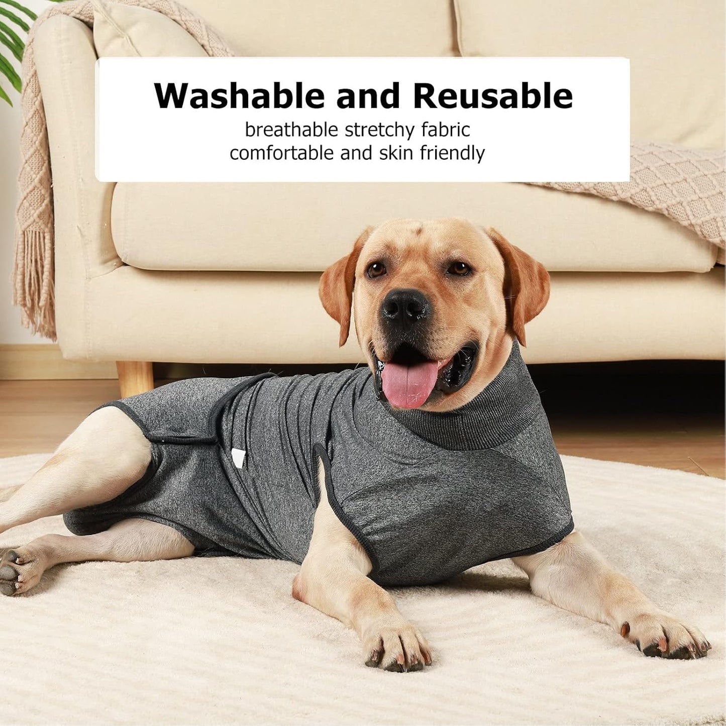 Traje post operación o hembras en celo para perros medianos y grandes