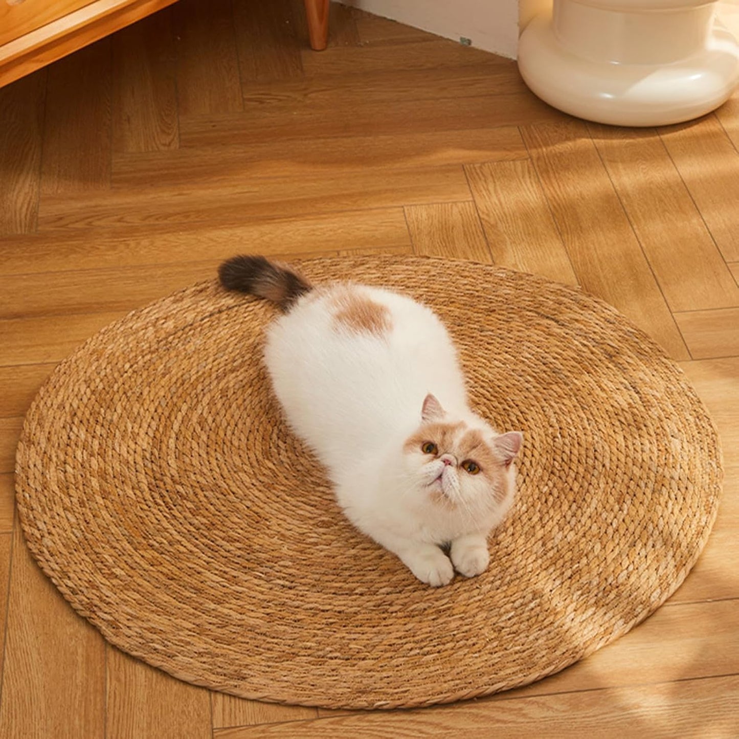 Alfombra de yute para gatos (rascador y decorador de hogar)
