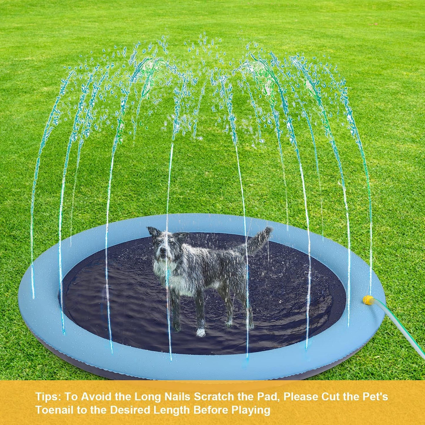 Piscina inflable de splash para perros