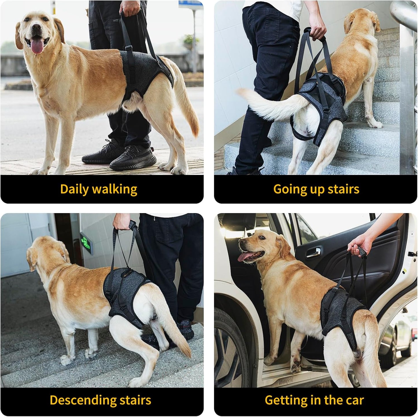 Soporte auxiliar de patas traseras para perros medianos y grandes