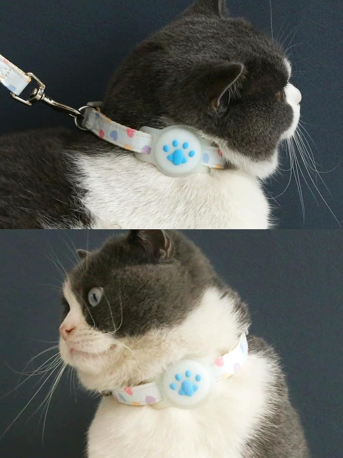 Collar de Airtag para mascotas