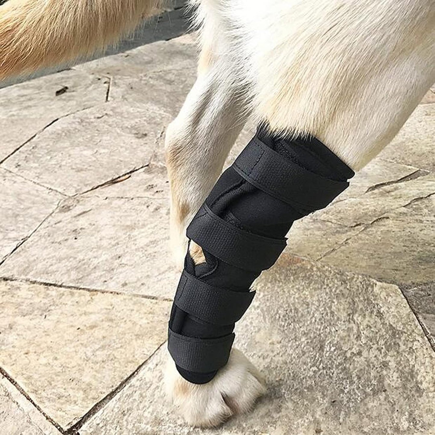 Vendaje de soporte de patas para mascotas