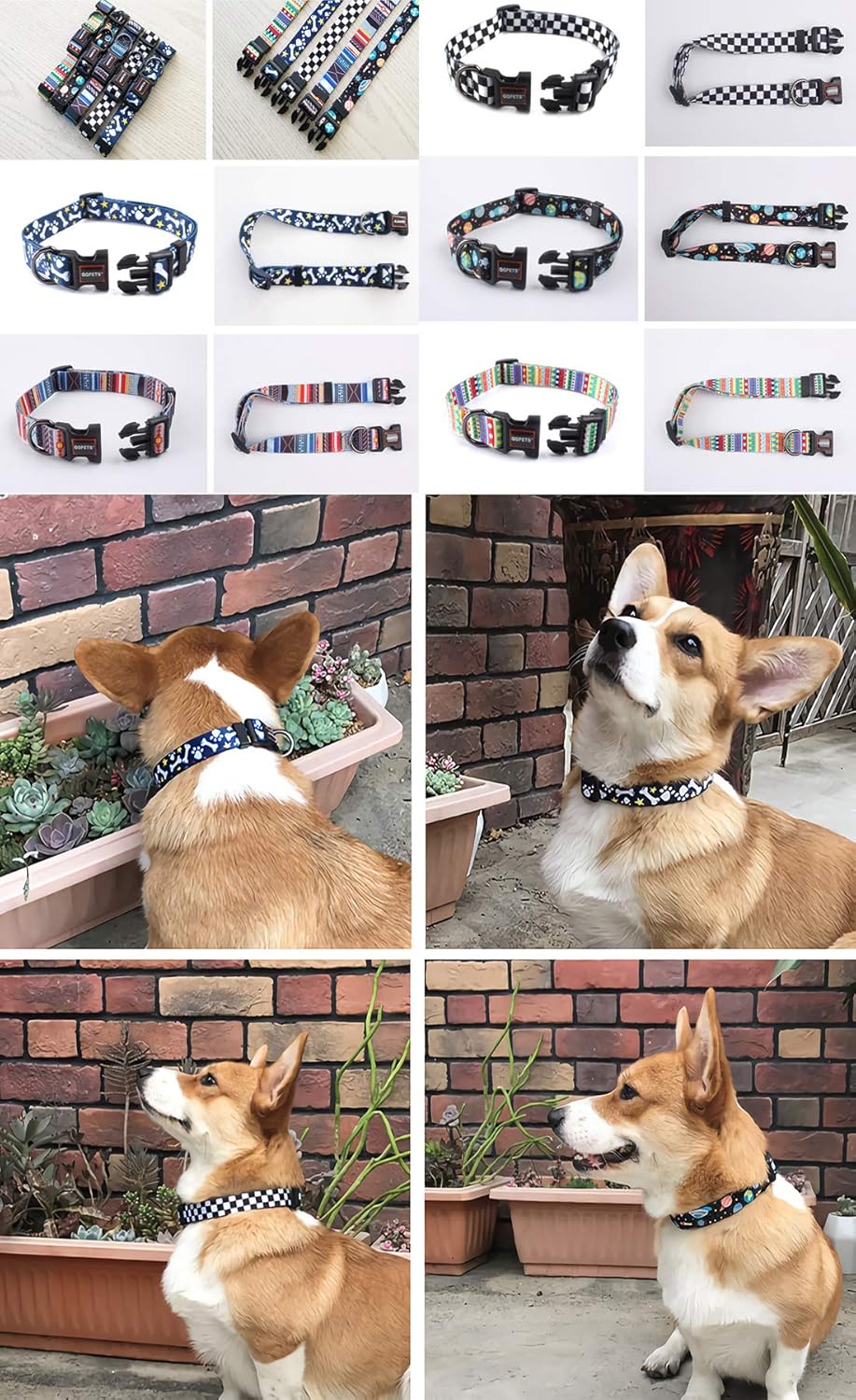 Collar con estampado para perro