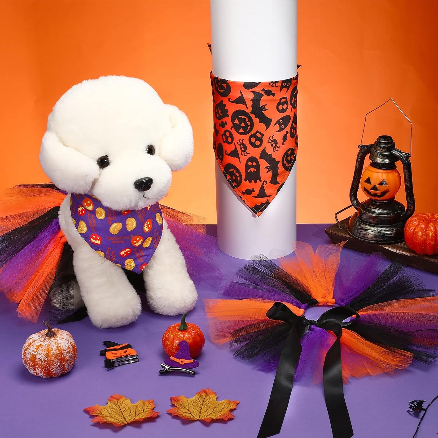 Conjunto de hembra para halloween