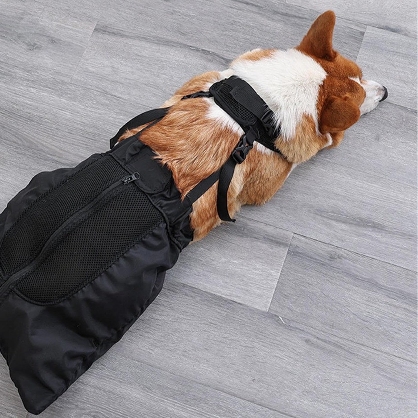Bolsa alternativa para silla de ruedas para mascotas