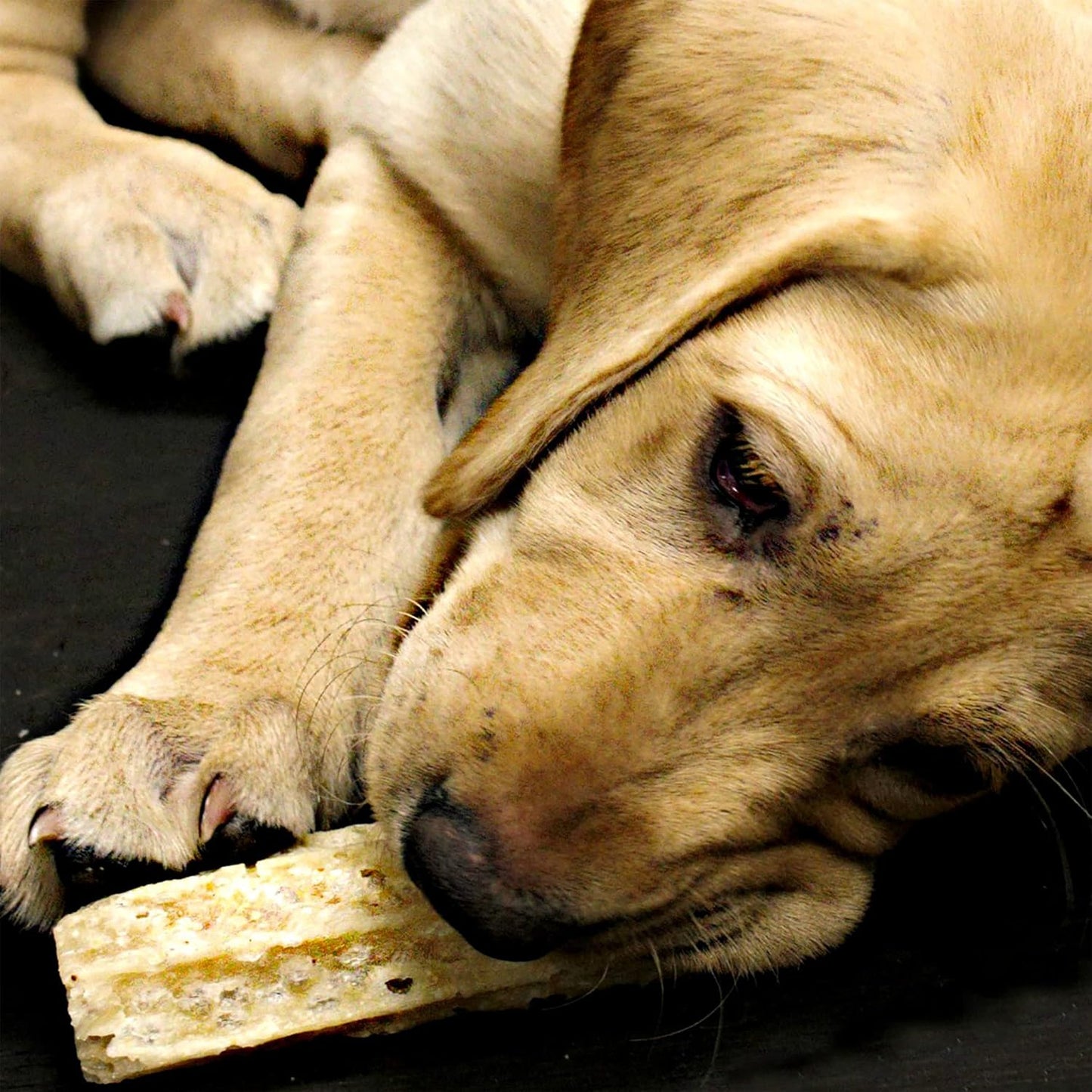 Snack Happy Teeth Himalayan sabor a queso