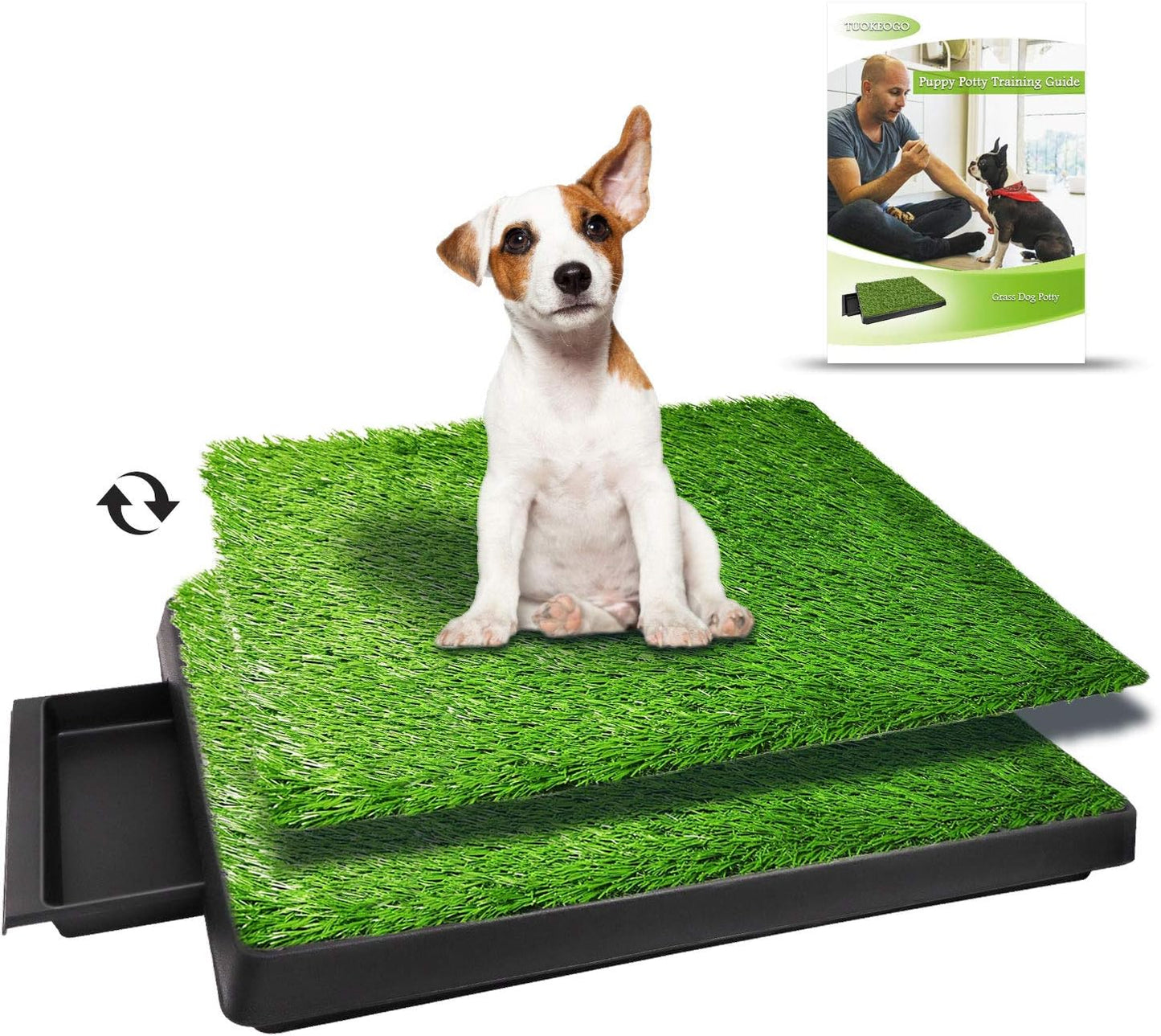 Césped inodoro para perros