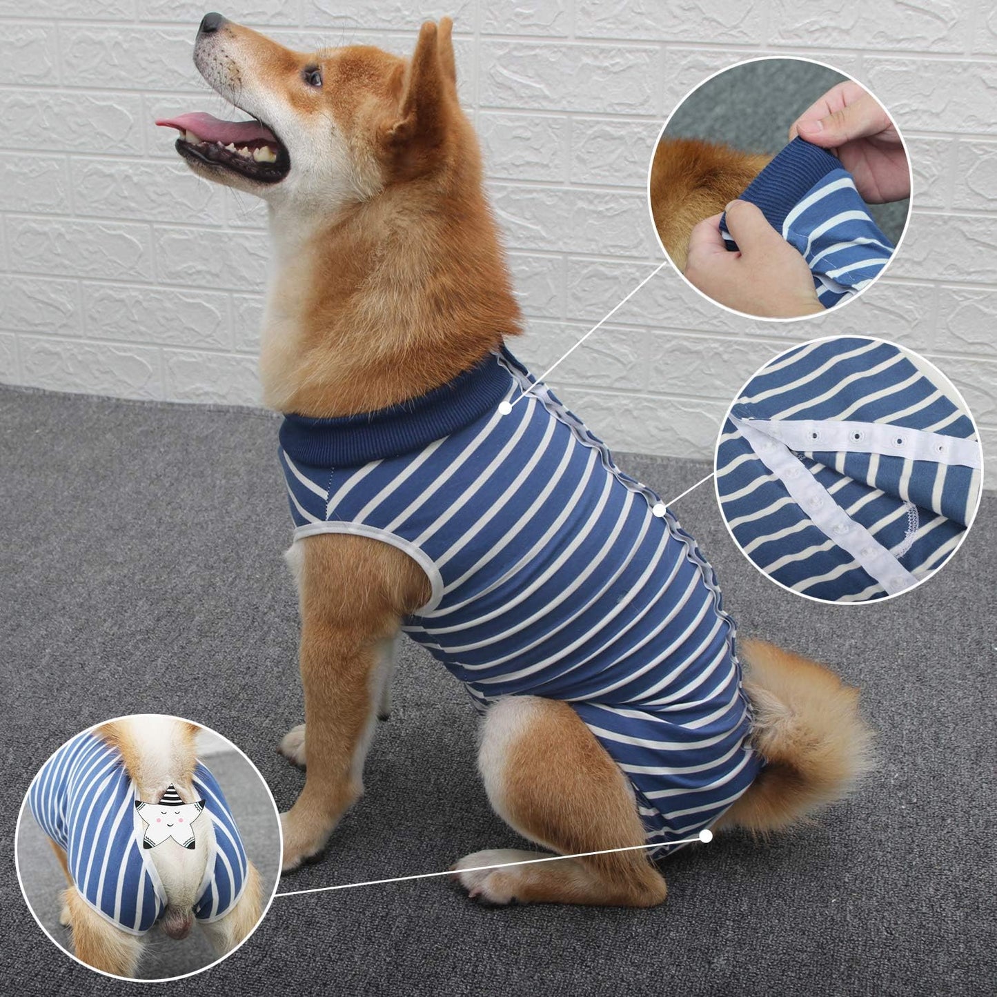 Traje quirúrgico para perros