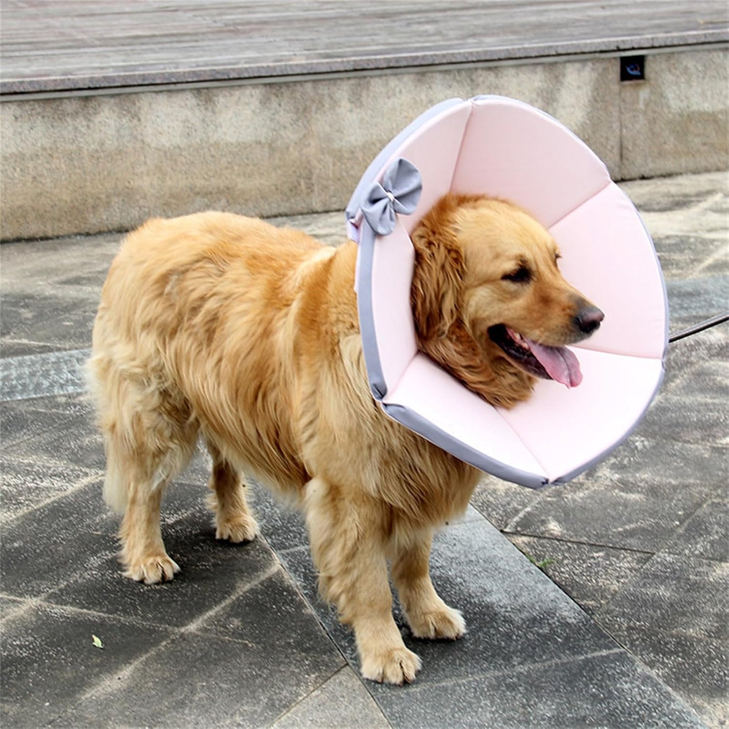Cono isabelino para perros grandes con lazito de tela