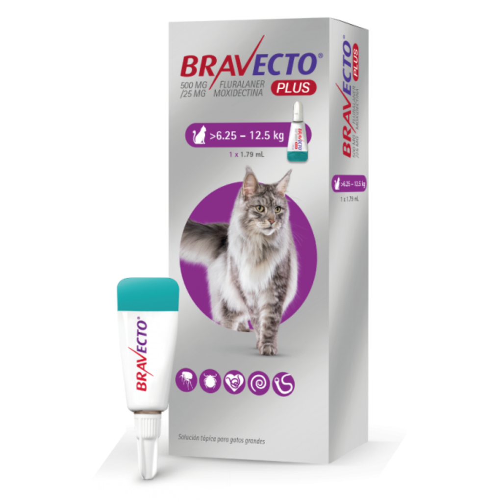 Bravecto PLUS GATO 500MG 6.25-12.5kg