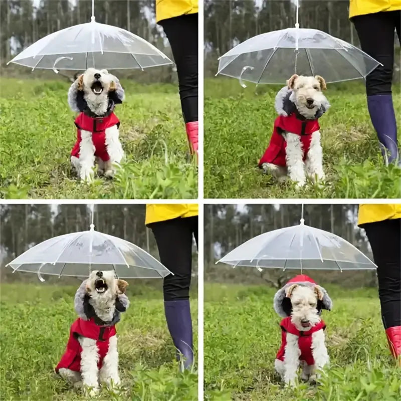 Paraguas para mascotas pequeñas (70cm diametro)