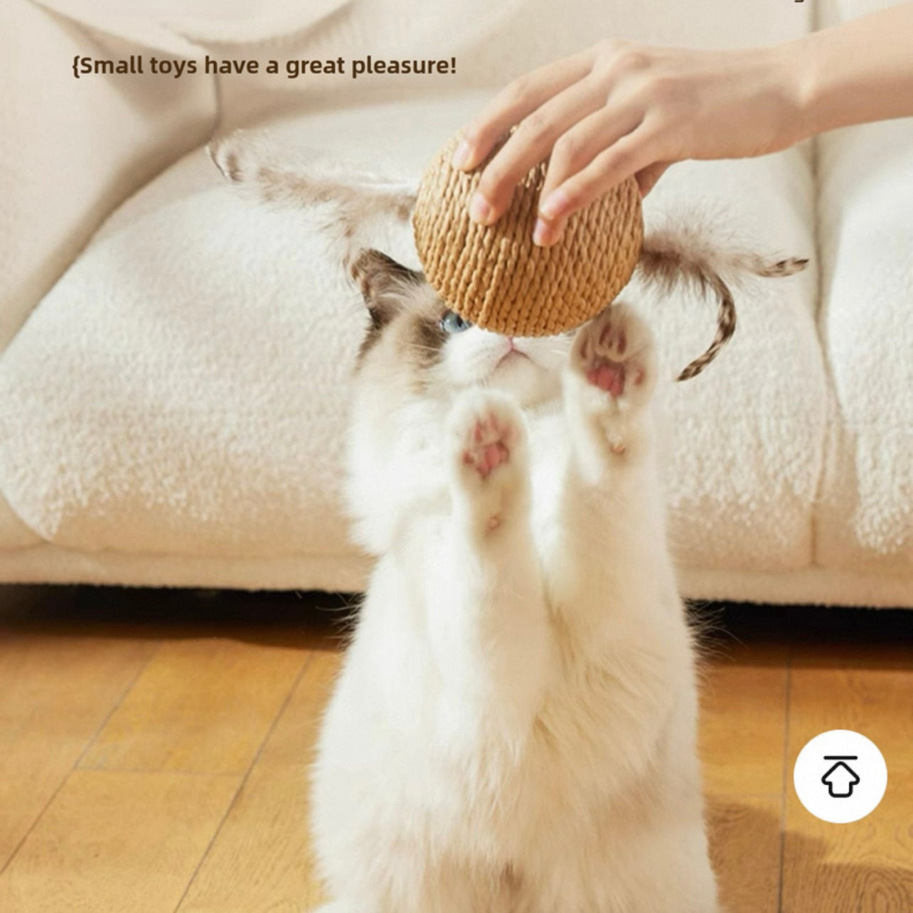 Pelota para gatos de cuerda de sisal 10cm