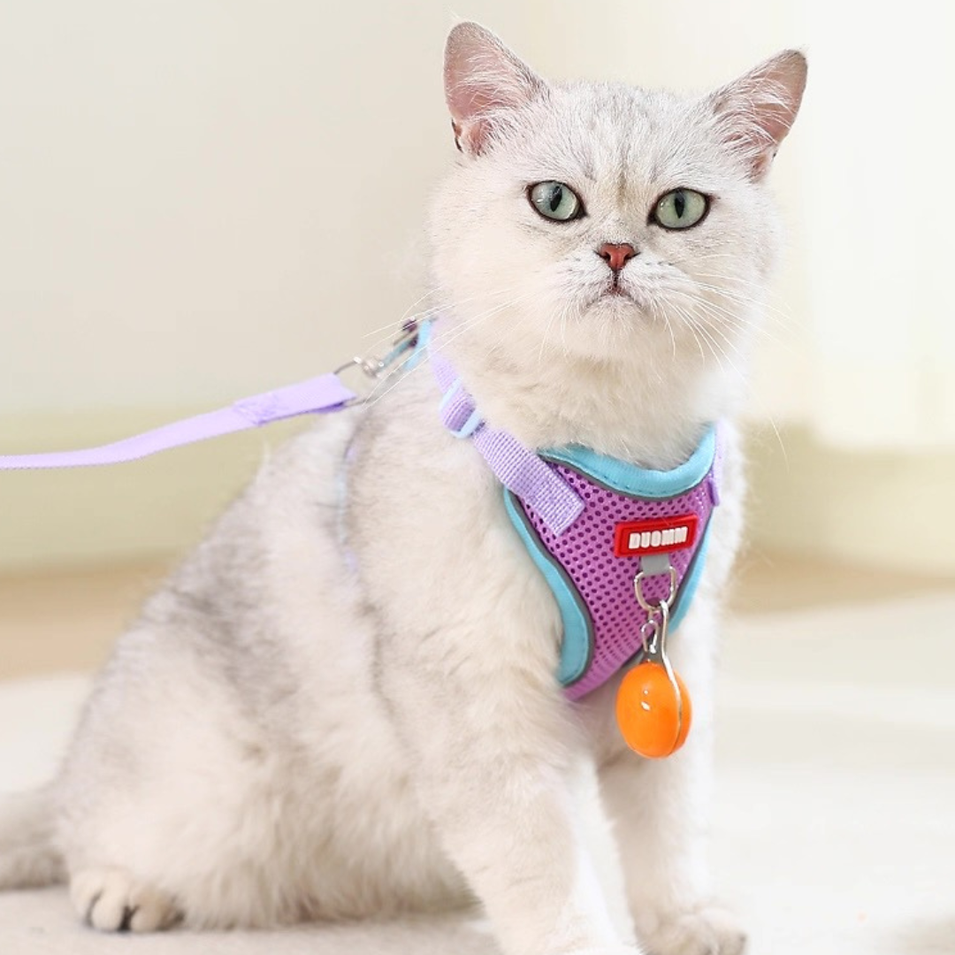 Pechera anti escape reflectiva para gatos