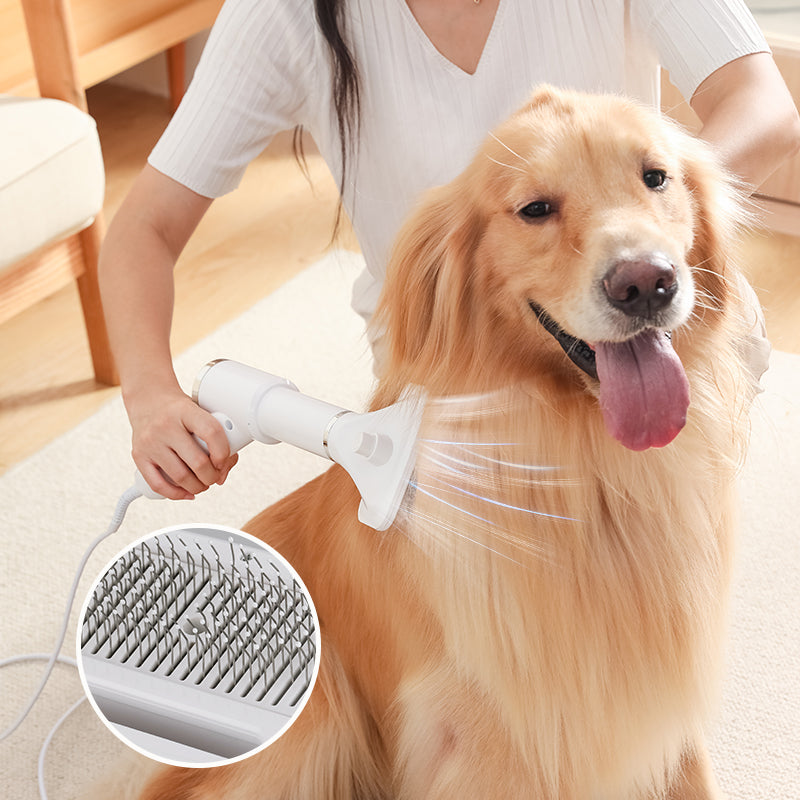 Cepillo secador eléctrico de pelo 2 en 1 para mascotas