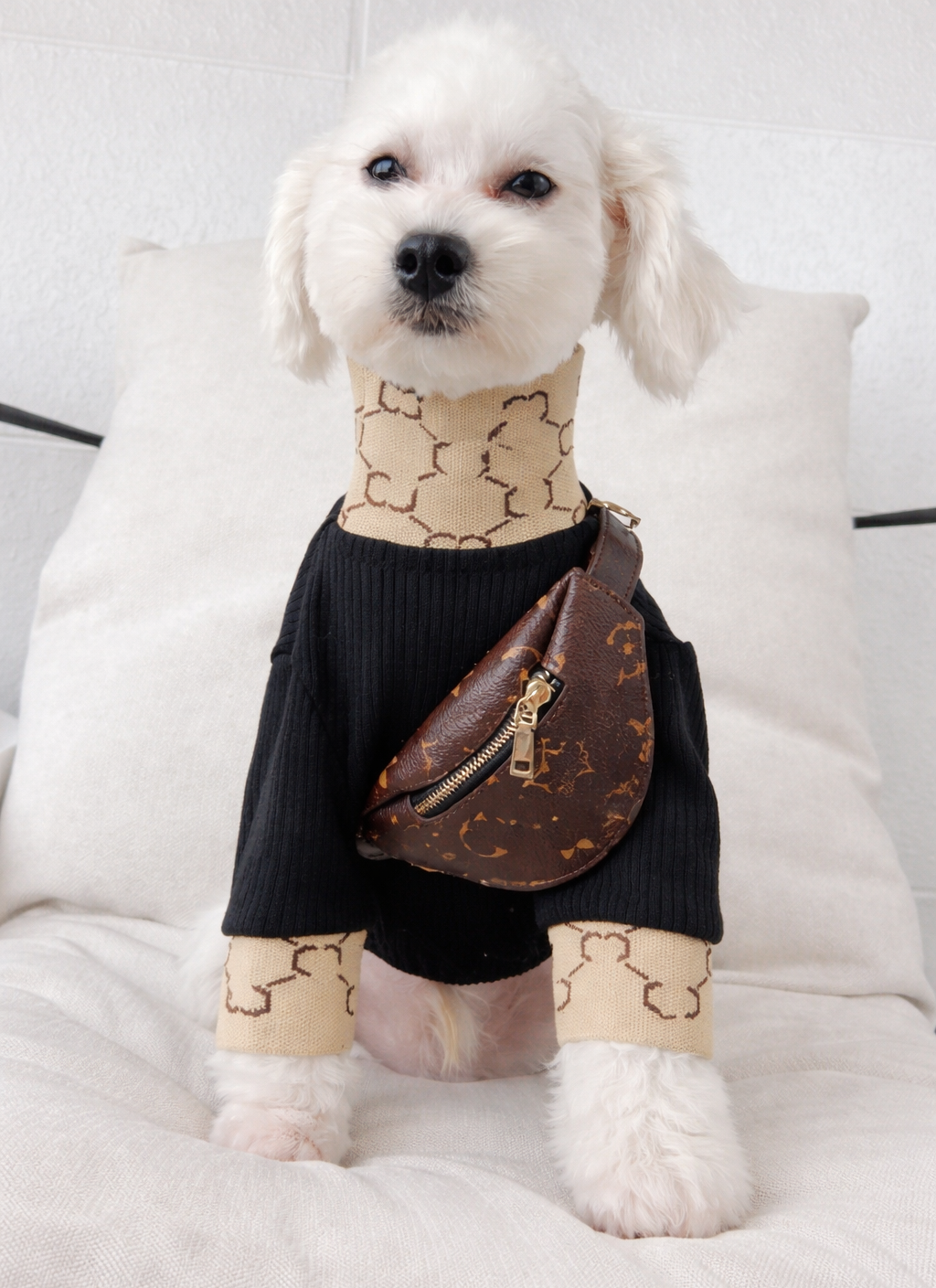 Cangurera elegante para mascotas