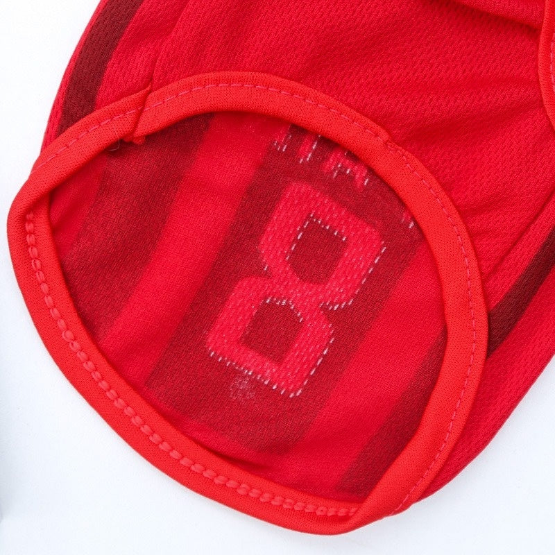 Ropa deportiva para perros pequeños