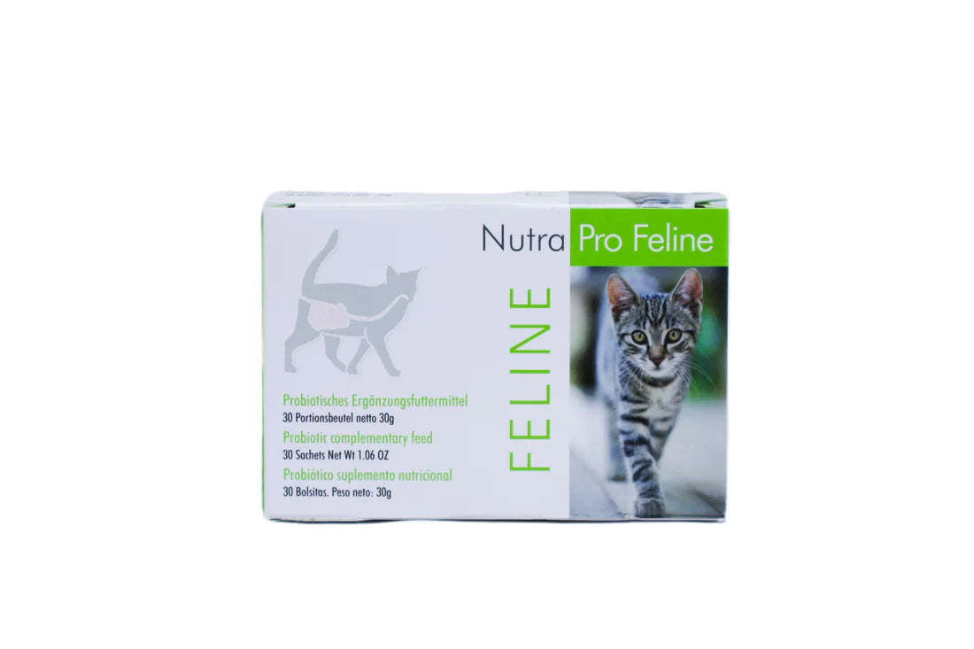 Nutra Pro para Gato: Probióticos, sobre 30gr