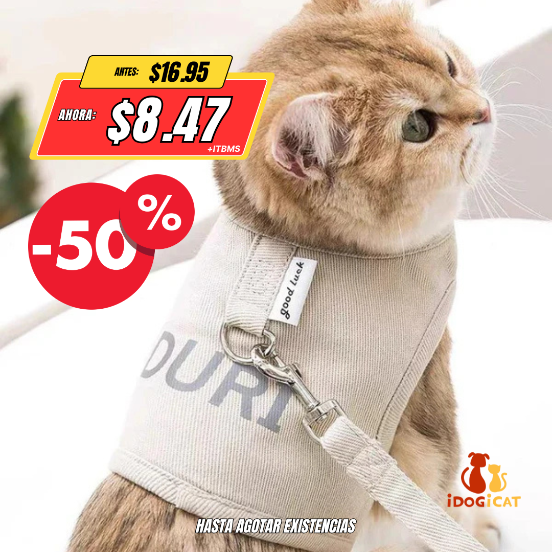 Conjunto de arnés y correa para gato con cierre de velcro