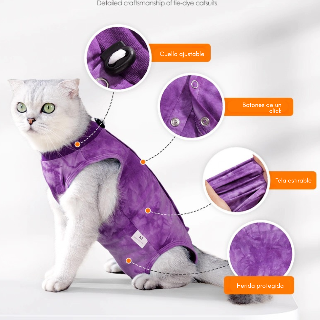 Traje postoperatorio para gatos