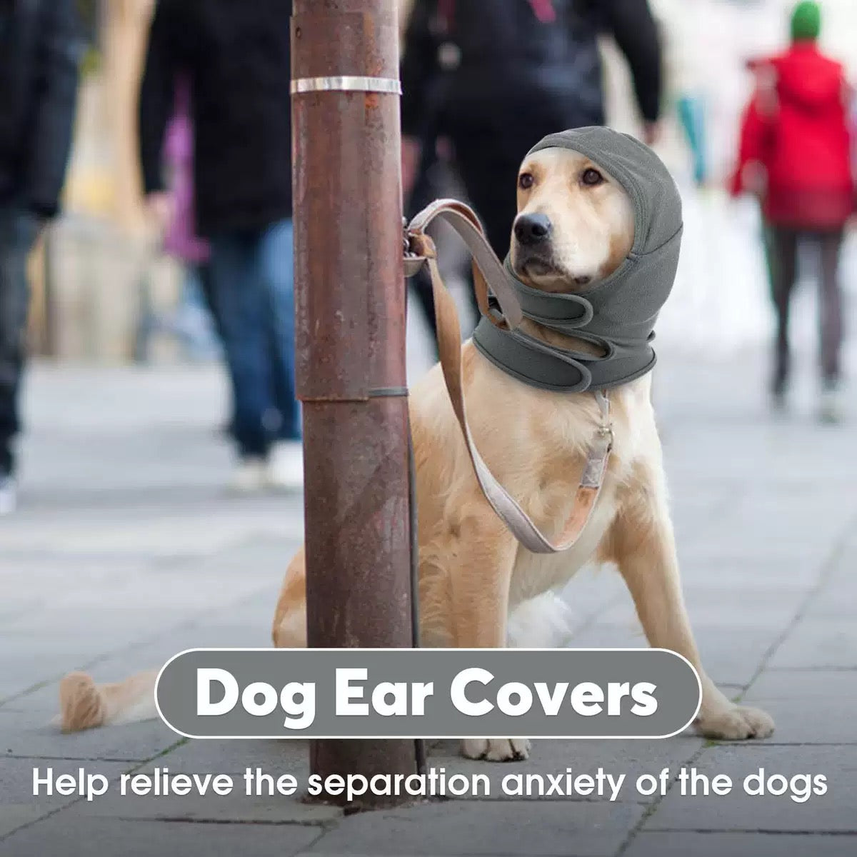 Capucha anti ansiedad para perros