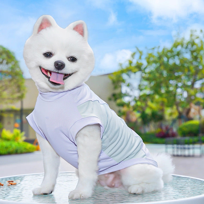 Camisa fresca para mascotas pequeñas, medianas y grandes
