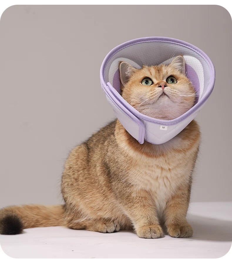 Cono isabelino suave para gatos y perros
