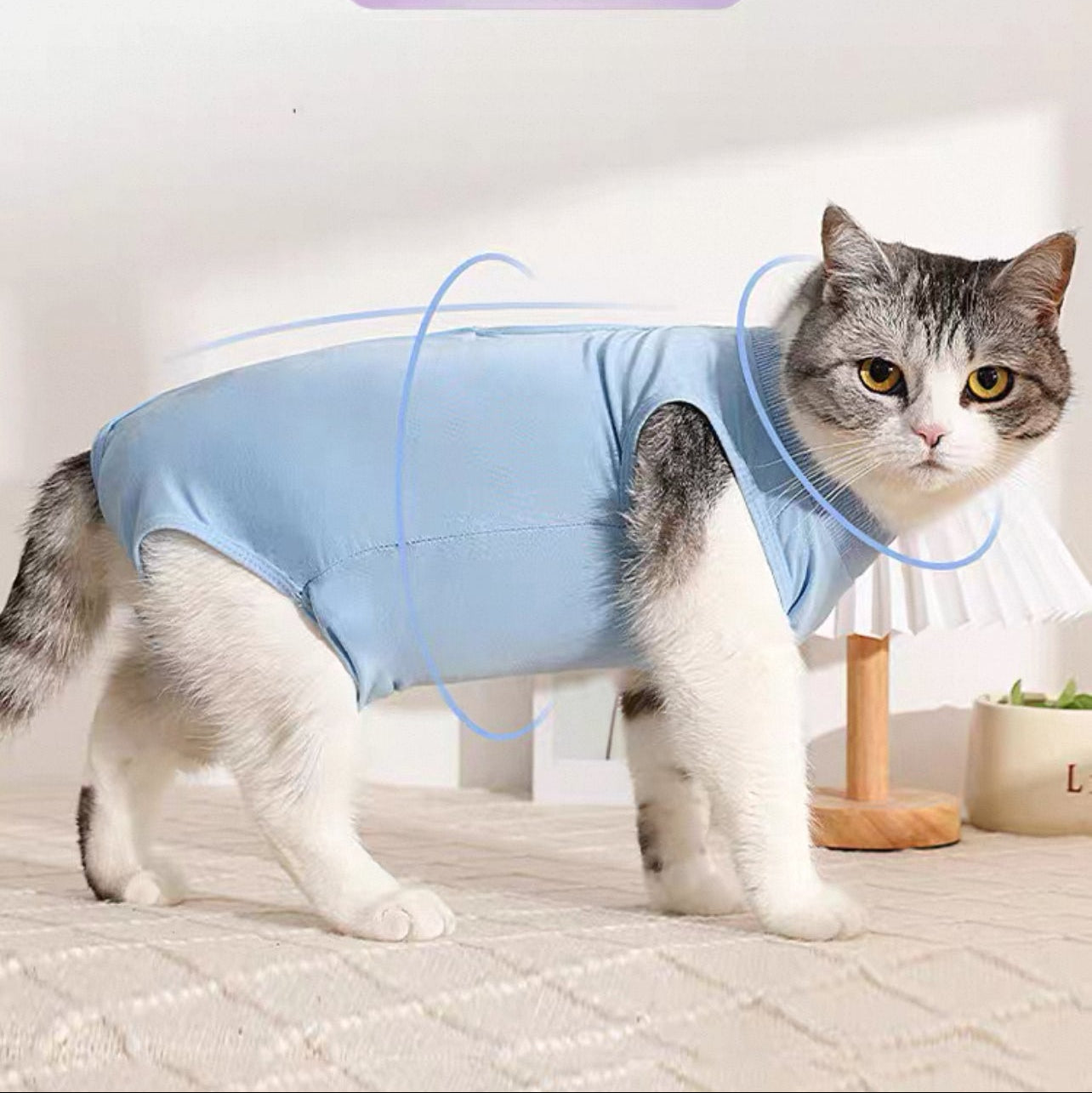 Traje de recuperación de cirugías y heridas para gatos