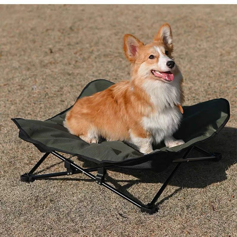 Cama elevada y portátil para perros pequeños y medianos