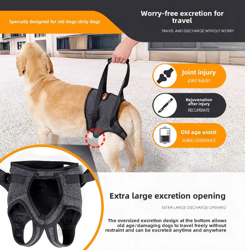 Soporte auxiliar de patas traseras para perros medianos y grandes