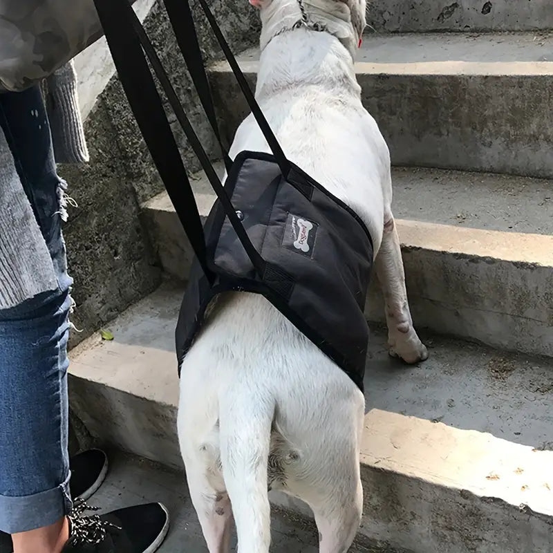 Arnés de elevación para perros de la tercera edad o con lesiones