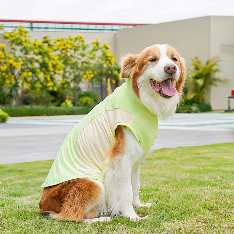 Camisa fresca para mascotas pequeñas, medianas y grandes