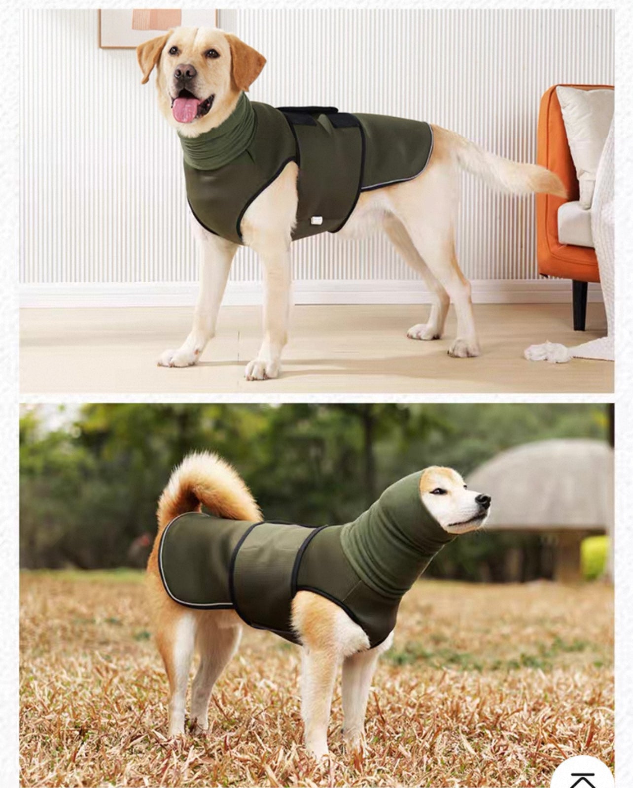 Traje para la ansiedad de perros (Postoperatorio, ansiedad, miedo)