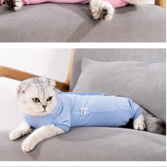 Traje de recuperación postoperatorio para gatos