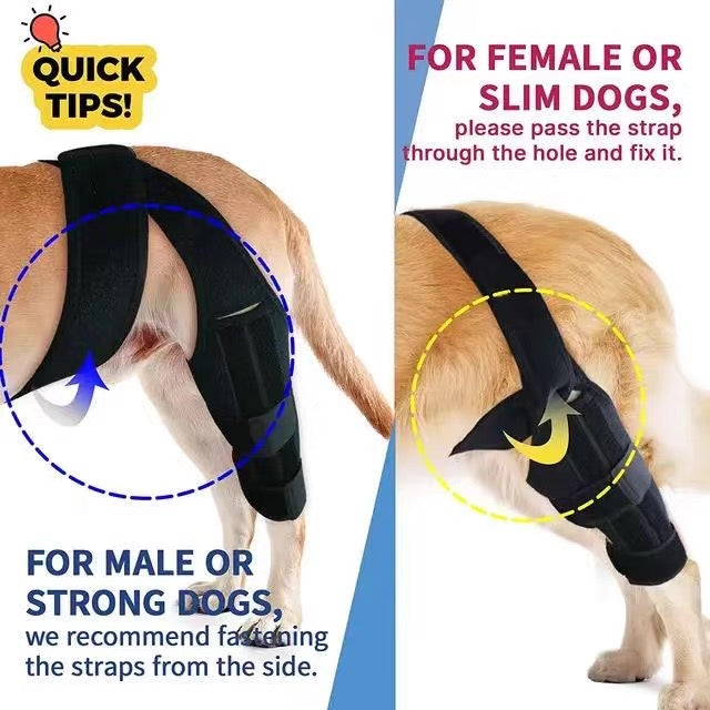 Soporte de patas para perros medianos y grandes