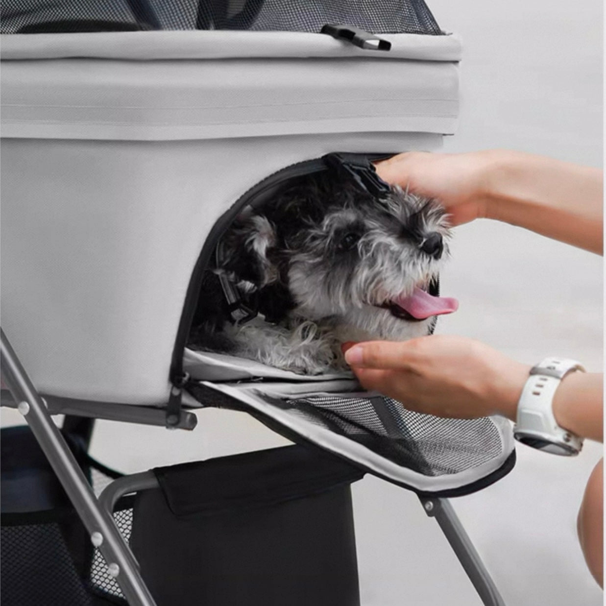Coche desmontable para mascotas (Soporta hasta 15KG) Modelo GG-808