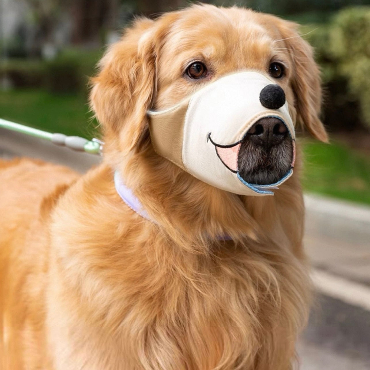 Bozal de tela con diseño para perros