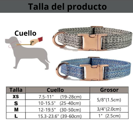 Collar con hebilla de acero resistente