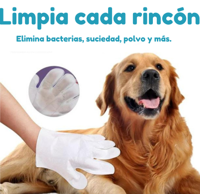 Toallas Húmedas estilo Guantes para limpieza corporal (6 unidades)