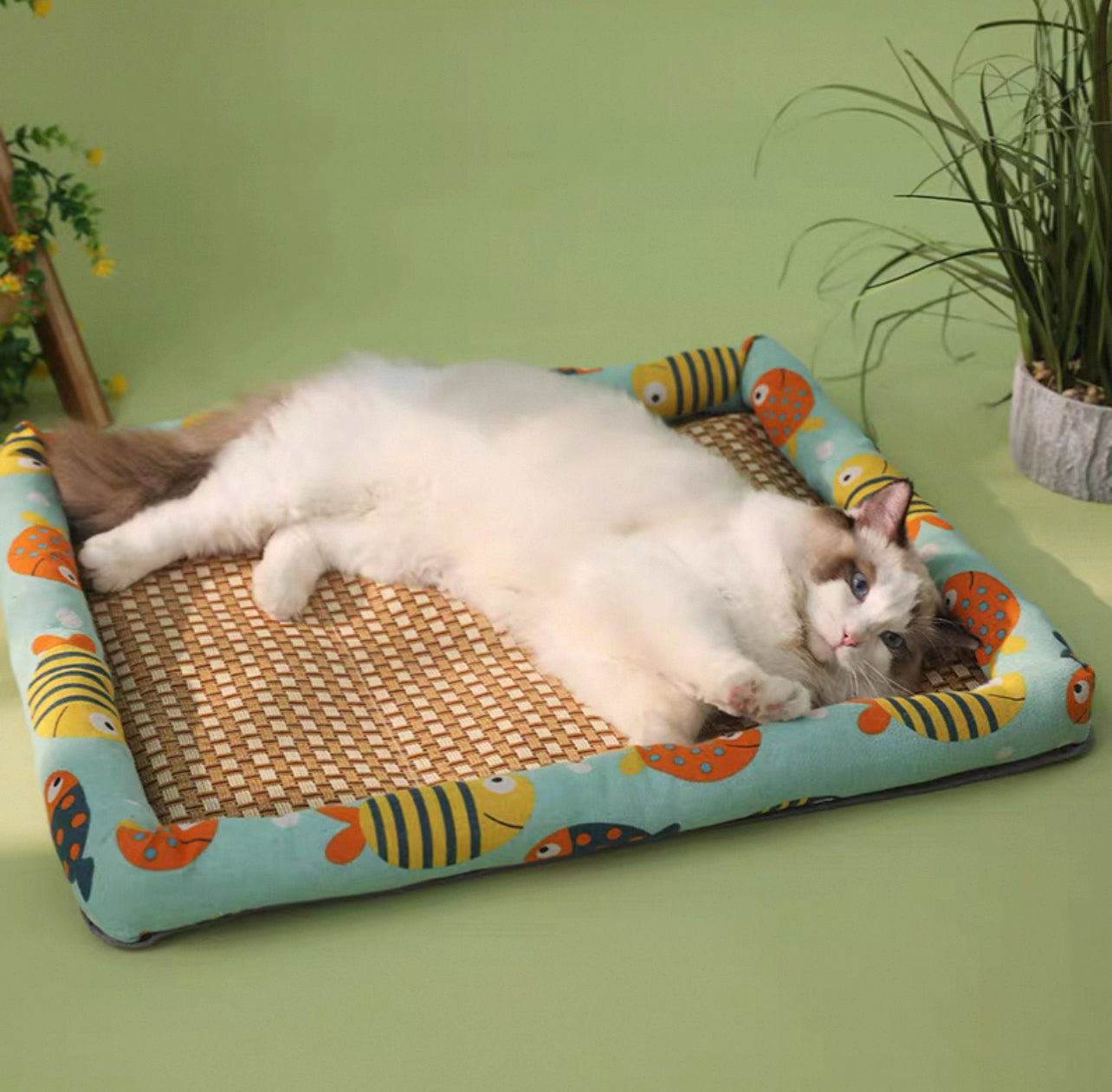 Cama de mimbre para gatos