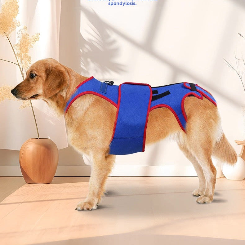 Soporte de apoyo espinal para perros