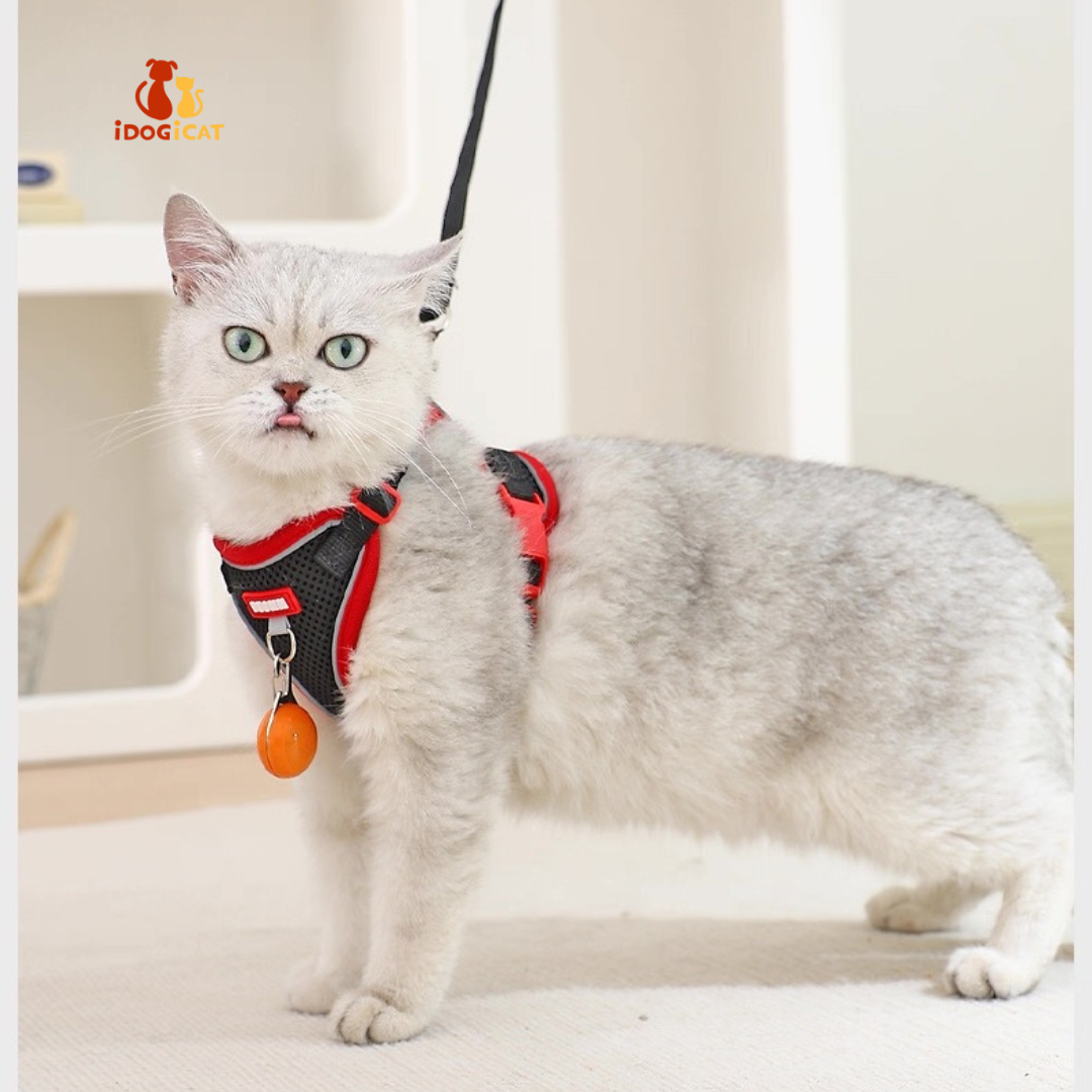 Pechera anti escape reflectiva para gatos
