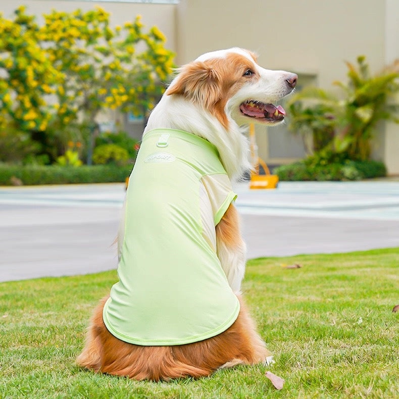 Camisa fresca para mascotas pequeñas, medianas y grandes