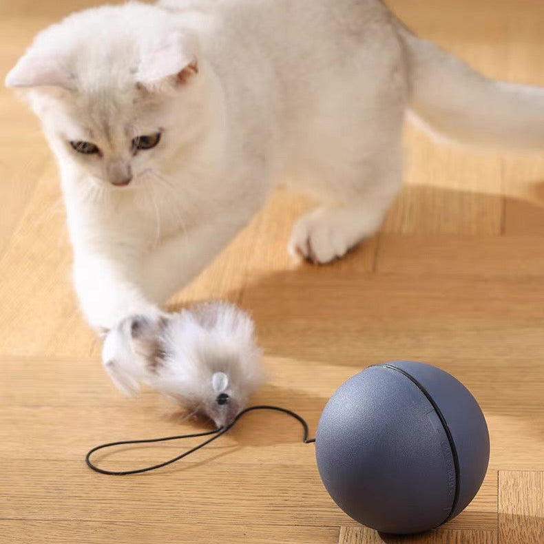 Pelota interactiva para gatos con ratón (Batería AA)