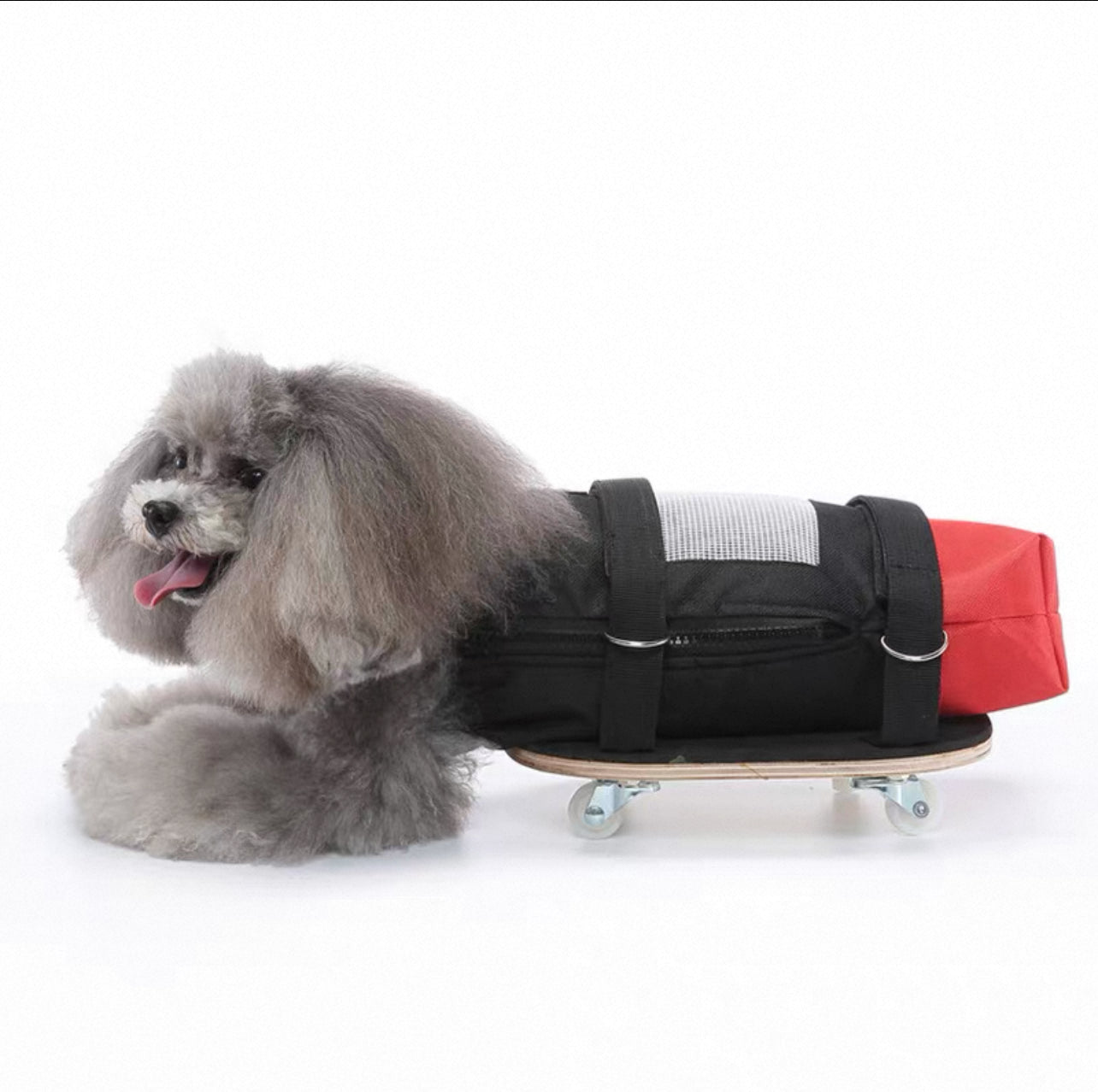 Silla de ruedas para patas traseras para perros y gatos discapacitados