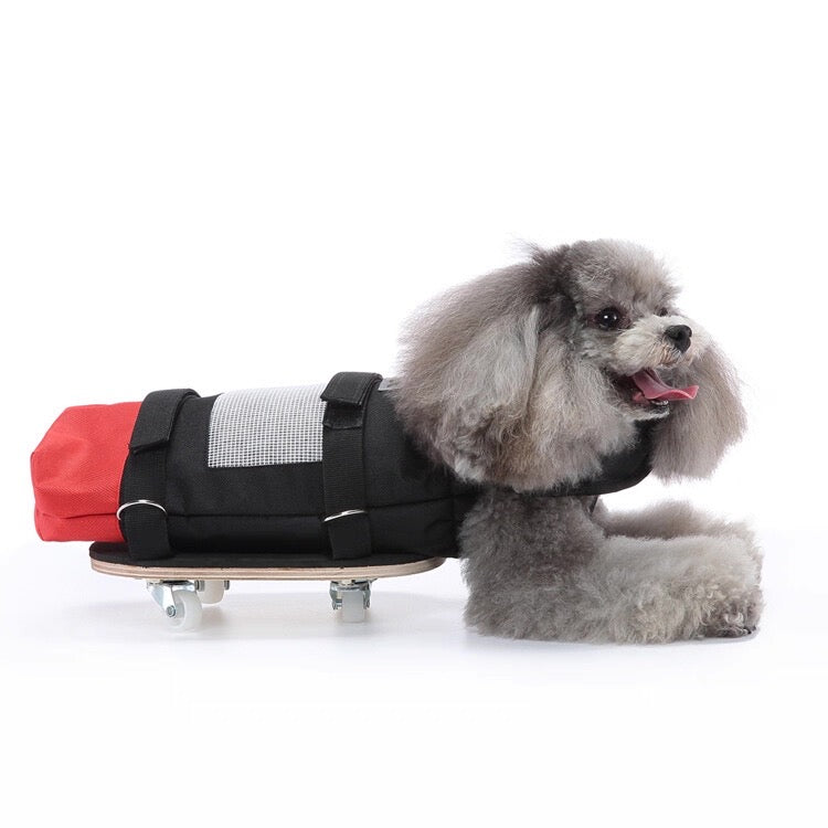 Silla de ruedas para patas traseras para perros y gatos discapacitados