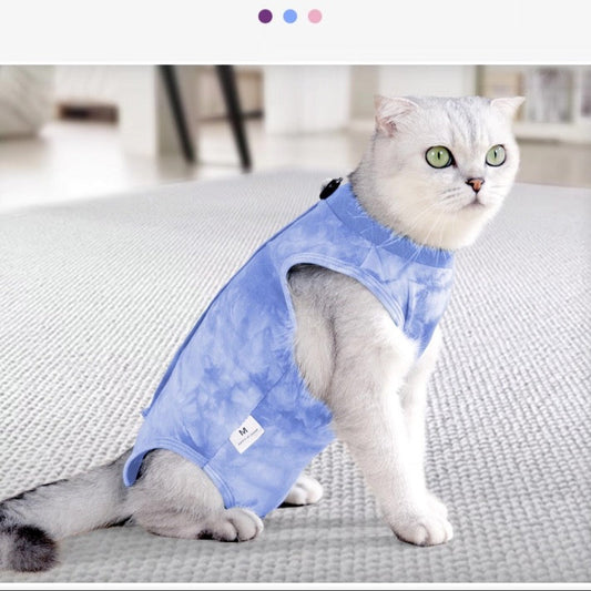 Traje postoperatorio para gatos