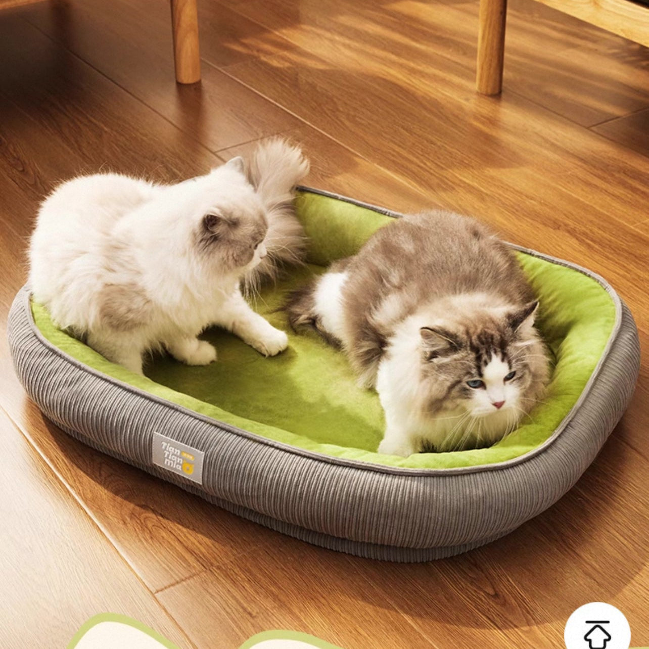 Cama para mascotas con tela suave y fácil de transportar 75*55cm