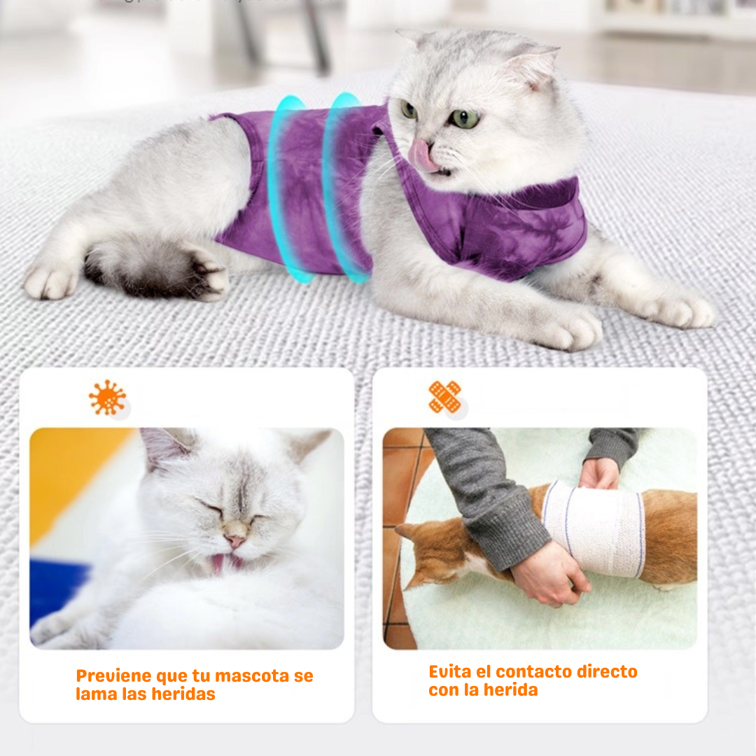 Traje postoperatorio para gatos