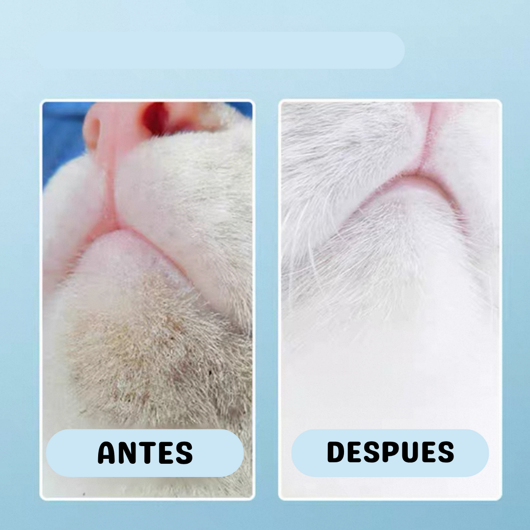 Limpiador espumoso para acné felino 200ml